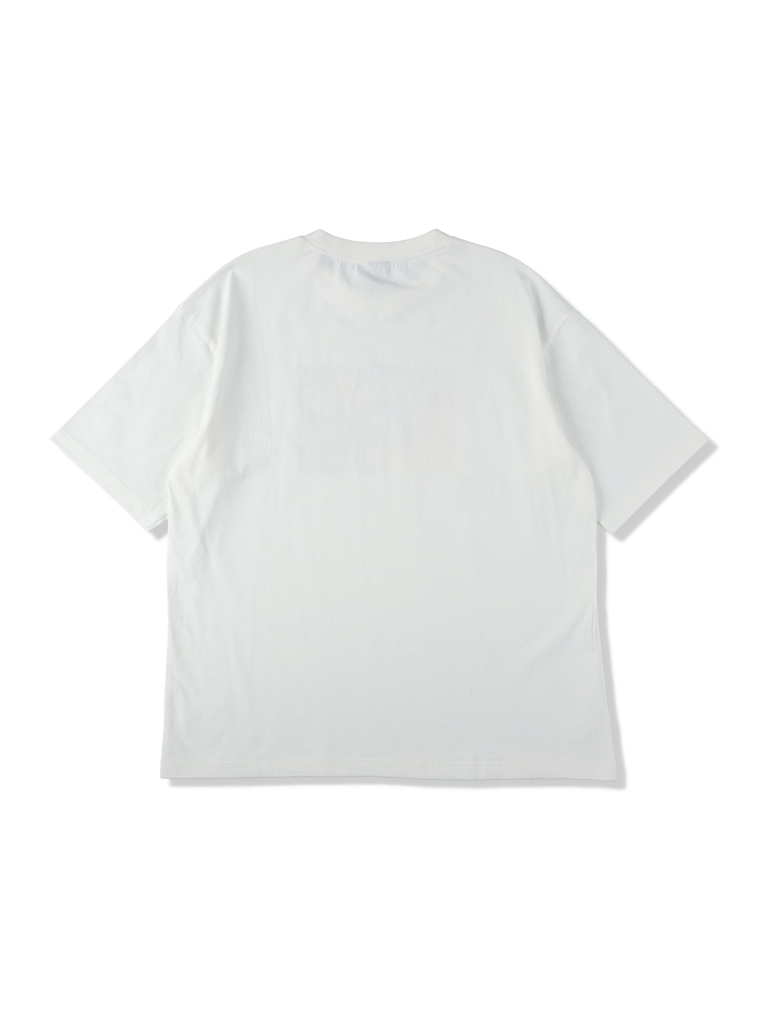 DrySilkyCotton® Tシャツ 【Sunset palm】