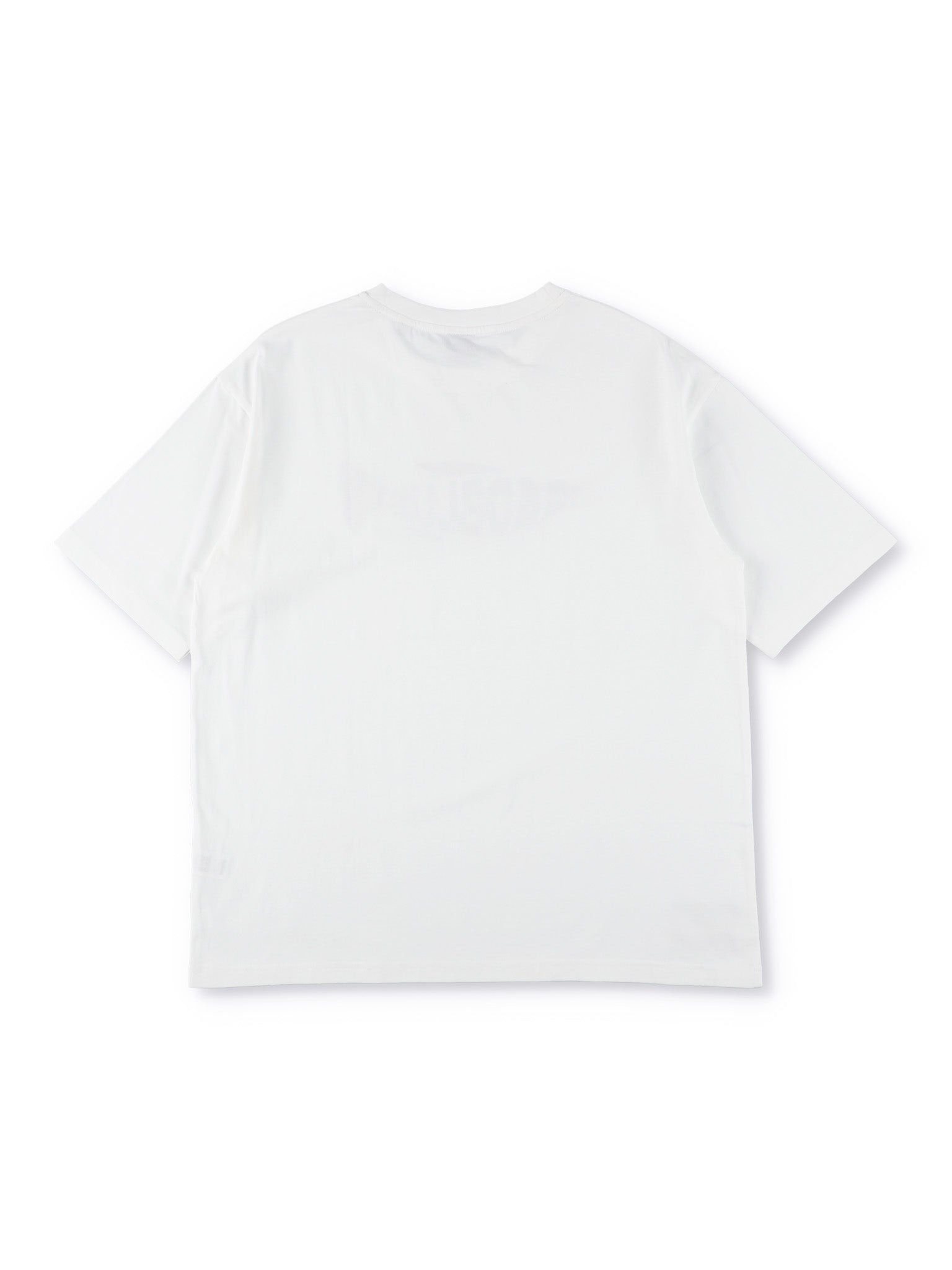 DrySilkyCotton® Tシャツ【TAIL】