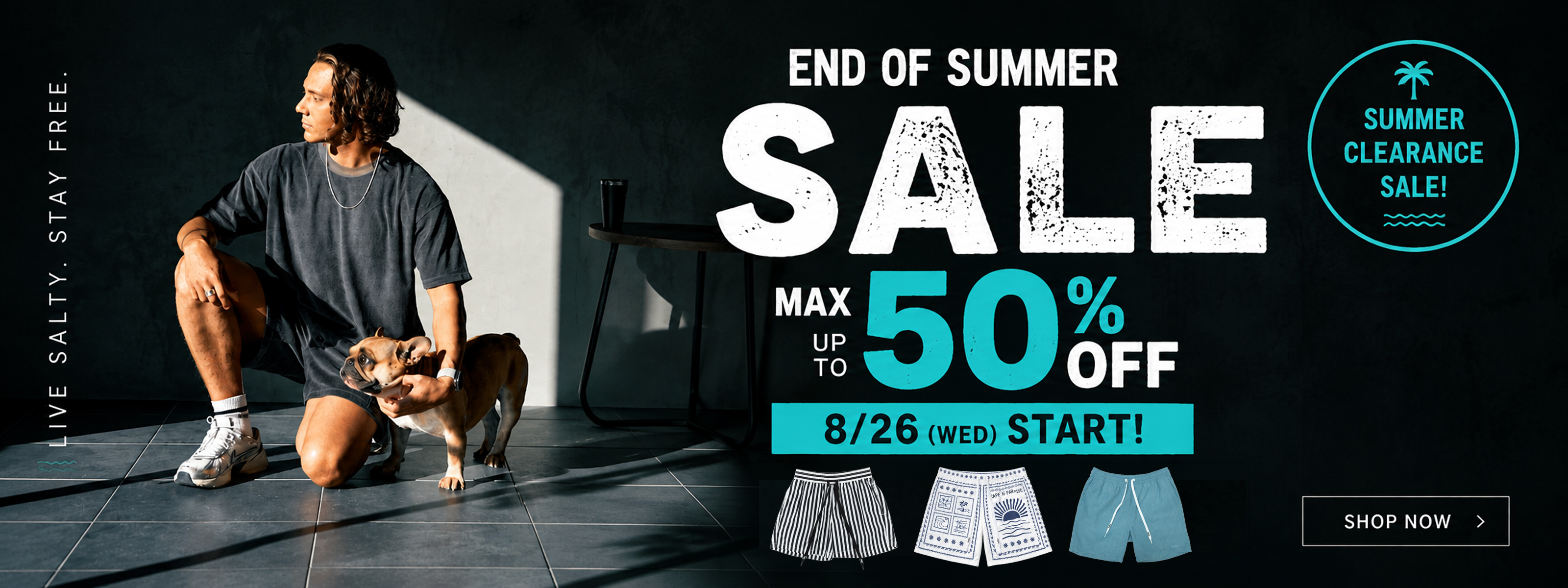 SUMMER SALE 2026-08 PC banner